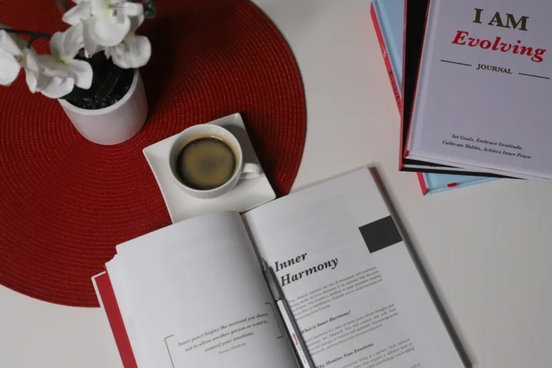 6 Best Self Awareness Journals for Adults in 2026